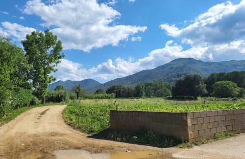 La Cellera de Ter House | Charming rustic house - near river and forest