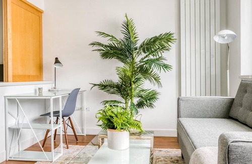 Mid-Market Apartment | Charming Studio in SoMa, near BART + Top Tech HQs