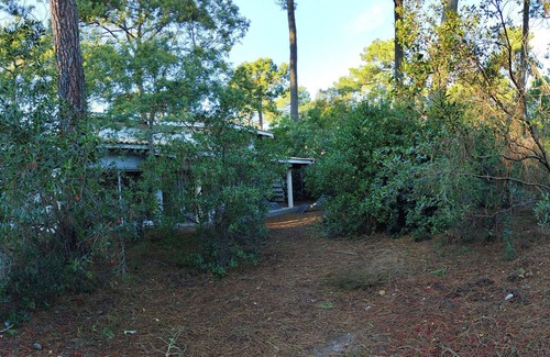 Le Canon Villa | Charming Villa with Large Garden near Forest & Ocean in Le Canon, Cap-Ferret