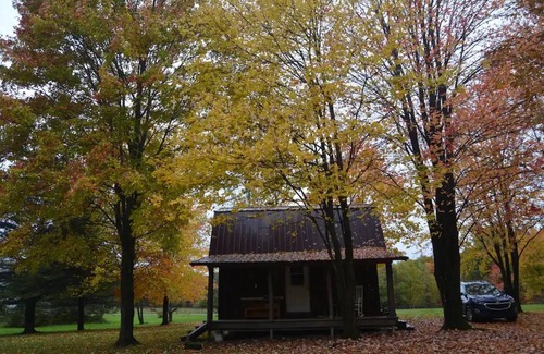 Carlton Cabin | CHASIN' MEMORIES,nCozy, rustic cabin. Close to many boating and fishing lakes.n