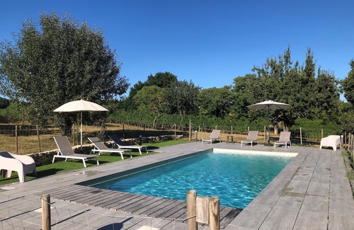 Saint-Pierre-de-Bat House | Château Petit Luc, beautifully renovated family wine estate with swimming pool