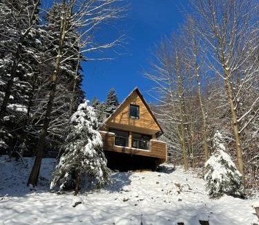 Ostravice Ski Chalet | Chatka pod Lysou