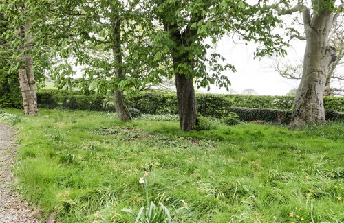 Staxton Cottage | CHESTNUT COTTAGE, pet friendly, country holiday cottage in Filey