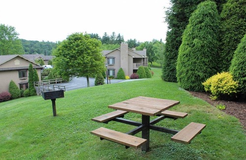 Blowing Rock Condo | Chetola: Cardinal 101