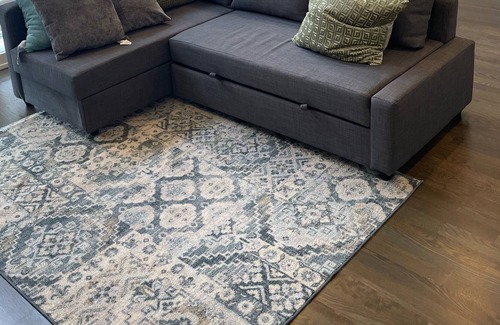 Tri-Taylor Apartment | Chicago apartment