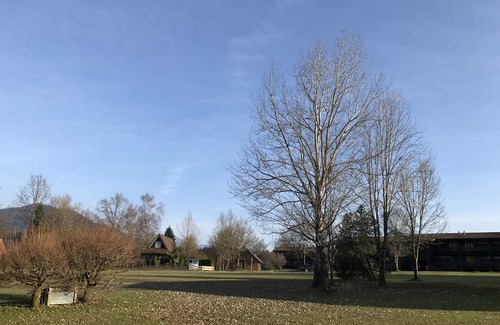 Feichten Apartment | "Chiemgau Dream": Apartment in Chiemgau - in the middle of nature in the Vorauf vacation park