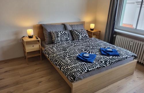 Brno-stred Apartment | City Center Apartments - Moderna Brno Římské náměstí I