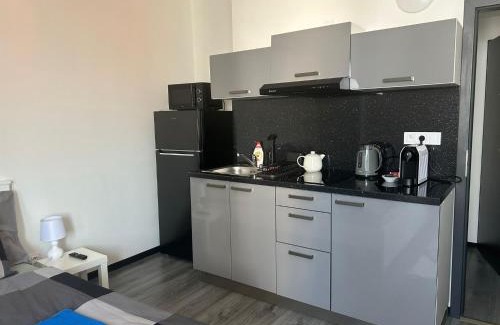 Brno-stred Apartment | City Center Apartments - Moderna Brno Římské náměstí I