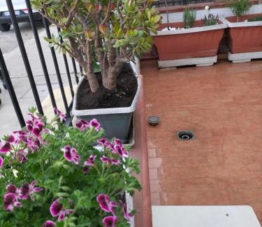 Palermo Apartment | Ciuridda mia
