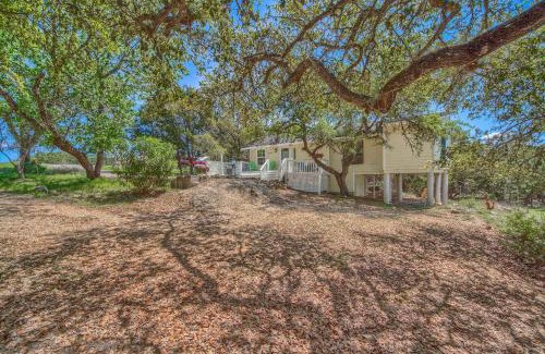 Canyon Lake House | CL 2459 Yellow Rose