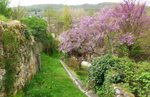 Bergerac House | Claire s' house in medieval village couze near river Dordogne with your pets