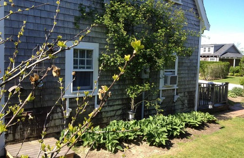 Nantucket Town Cottage | Classic Gem! Nothing Like it! Private cottage on Main St.