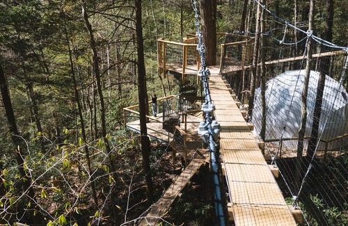 Rogers Hotel | .Cloud Dome Treehouse | 1 Bed, 1 Bath