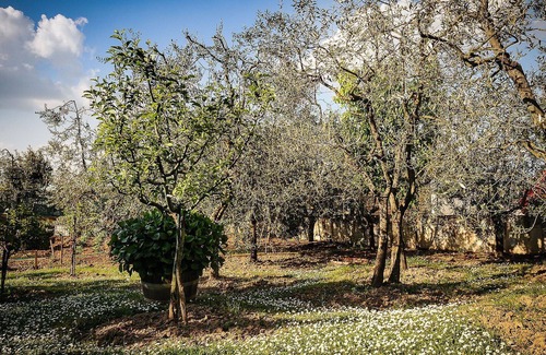 Mercatale Val di Pesa Apartment | Cosy apartment for 6 people with WIFI and terrace, close to Greve In Chianti
