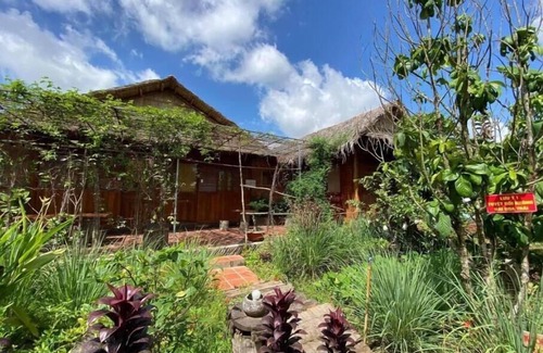 Long Ho House | COCOHOMEVL