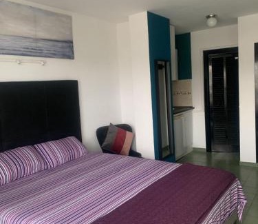 Calvia Apartment | Coconut Apartments - Adults Only