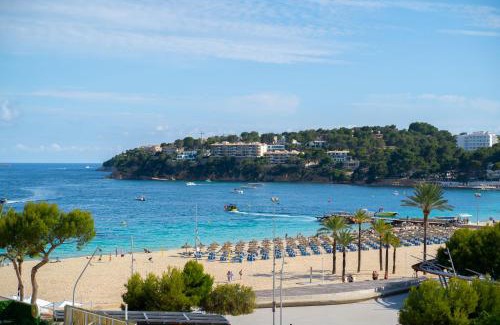 Calvia Apartment | Coconut Apartments - Adults Only