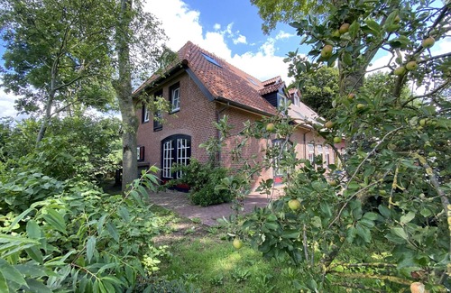 Municipality of Mill en Sint Hubert House | Colourful farmhouse in the middle of nature
