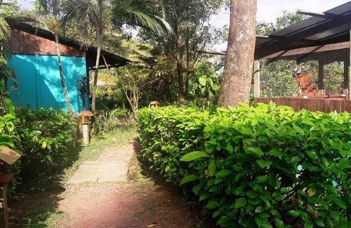 Katira Bed & Breakfast | Come and enjoy a nice walk and have fun as a family.