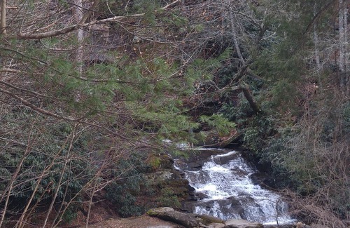 Dillard Cottage | Come enjoy the quiet relaxation. Listen to church bells ring every hour.