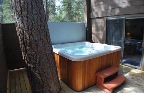 Overlook Park House | Come Enjoy This Cabin In The Woods, Hot Tub & Pet Friendly, 8 SHARC PASSES!