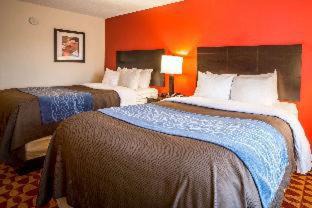 Gracewood Hotel | Comfort Inn & Suites Augusta Fort Gordon Area