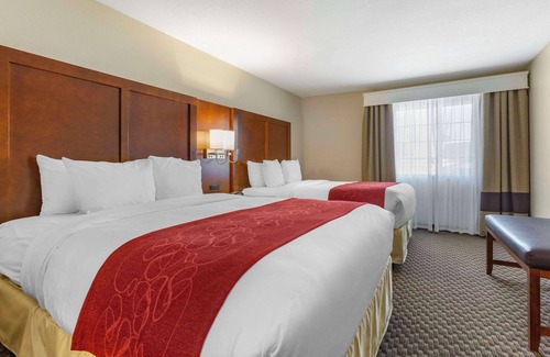 Tempe Hotel | Comfort Suites Phoenix Airport
