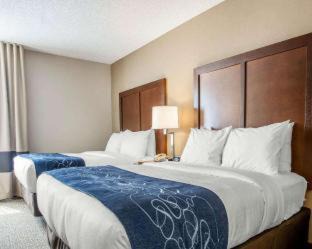 West Warwick Hotel | Comfort Suites West Warwick - Providence