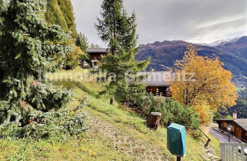 Grimentz Ski Chalet | Comfortable chalet on 2 levels for 4 people, living room with fireplace, kitchen area with dishwashe