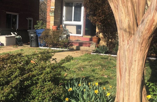 Taylor Run House | Comfortable home in Alexandria, walkable to Old Town/Metro, close to DC