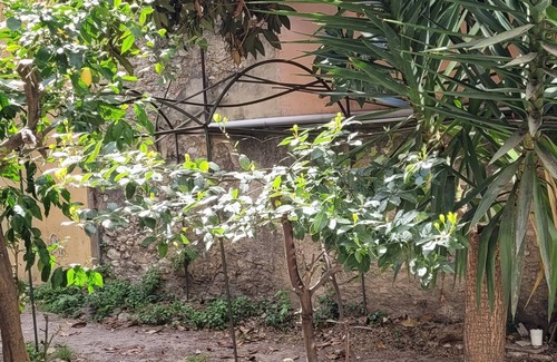 Nice Apartment | Comfortable, quiet and close to everything in the Nice style