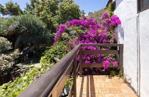 Taibique Apartment | Comfy Casa Loe Rustic House El Pinar & Terrace