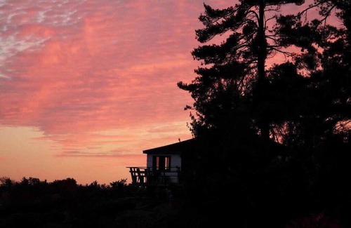 Carling Cabin | Comfy Cottage in Georgian Bay - Rockwood #9