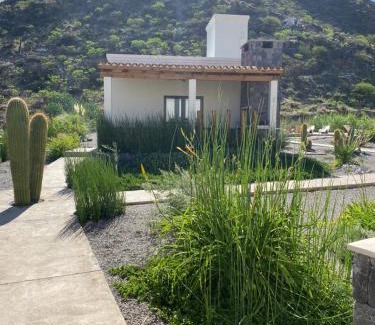 Cafayate House | Complejo Los Olivos