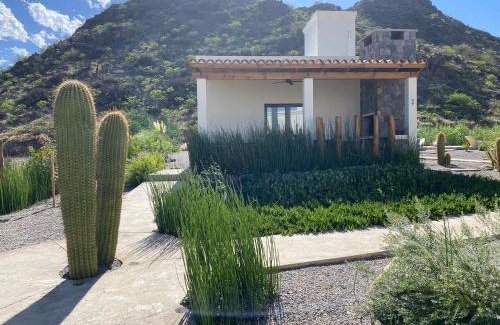 Cafayate House | Complejo Los Olivos