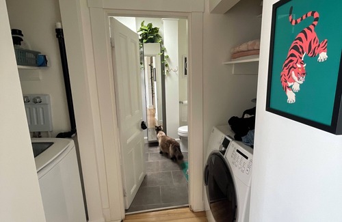 Montcalm Apartment | Condo à Louer, Mois de Novembre. Idéal Pour Travailleur