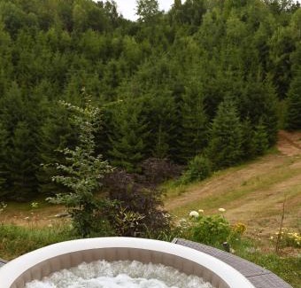 Vadu Crisului Other | Coniferis