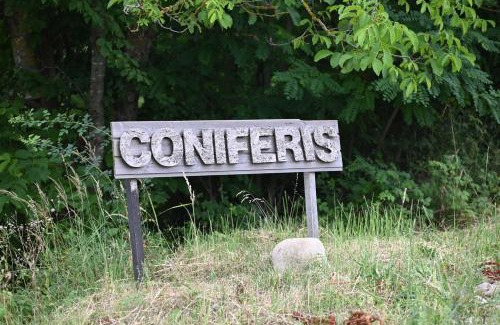 Vadu Crisului Other | Coniferis