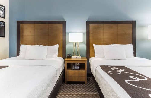 Downtown Chicago Hotel | Convenient Stay | 2 Pet-friendly Rooms Near Willis Tower and Skydeck