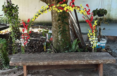 Centro House | Cop 30 Belem - 15 minutes from the event, surrounded by nature and birdsong.