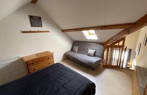 Laveissiere Apartment | Coquet studio mezzanine exposé sud avec animaux admis - FR-1-787-122