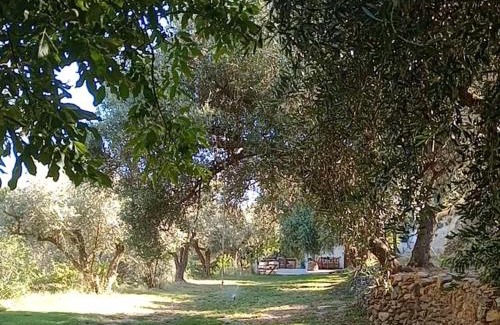 Orgiva House | Cortijo Rural Al-Andalus con Piscina