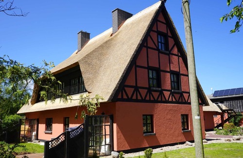 Schwarbe Apartment | Costume 1 - Bela Horse Farm/TZR
