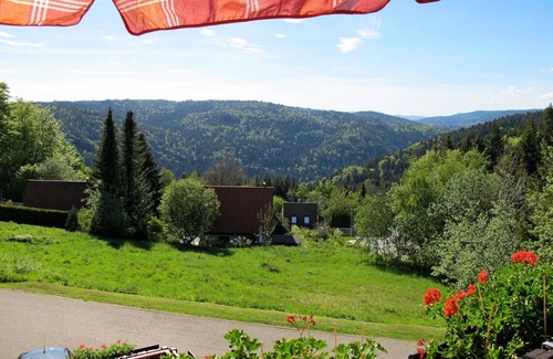 Uehlingen-Birkendorf Apartment | Cosy apartment for 4 people with WIFI, TV and balcony