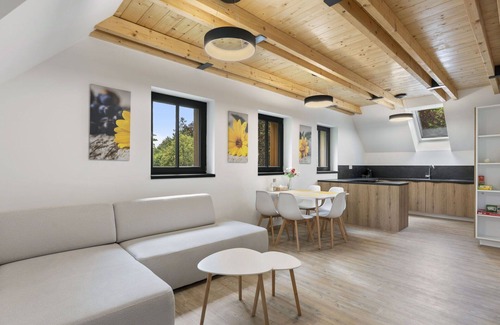 Janov nad Nisou Apartment | Cosy apartment for 6 guests with WIFI, TV and terrace