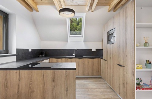 Janov nad Nisou Apartment | Cosy apartment for 6 guests with WIFI, TV and terrace