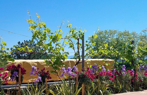 Jurandvor Apartment | Cosy apartment for 4 people with A/C, WIFI, TV, patio and pets allowed