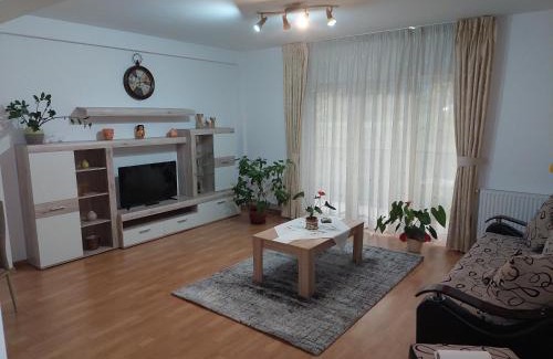 Tirgu Mures Apartment | Cosy apartment I