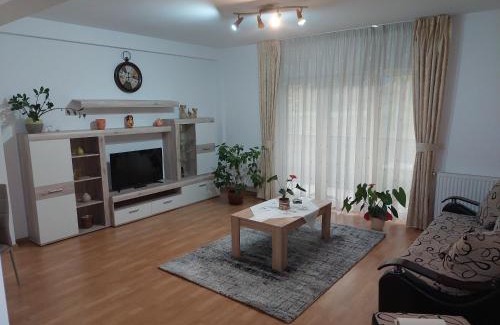Tirgu Mures Apartment | Cosy apartment I