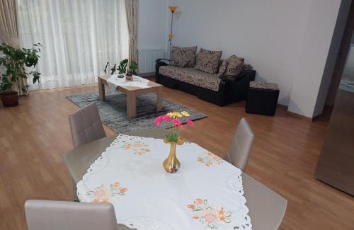 Tirgu Mures Apartment | Cosy apartment I